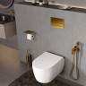 Система инсталляции для унитазов WASSERKRAFT VILS 56TLT.010.ME.PG04